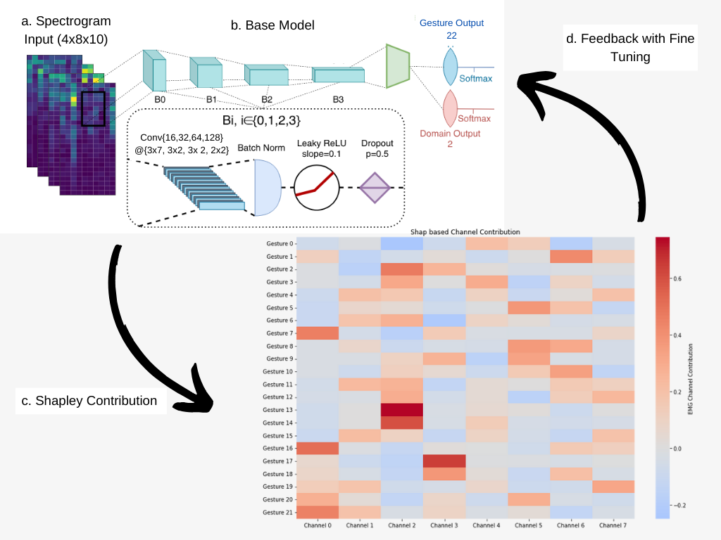 Explainable AI for Hand Gesture Recognition